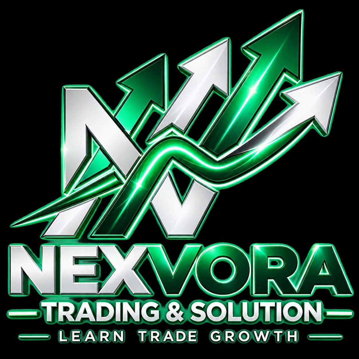 Nexvora Trading & Solution logo